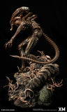 XM Studios Alien Hive-Warrior (Brown Variant) Supreme Scale Statue