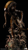 XM Studios Alien Hive-Warrior (Brown Variant) Supreme Scale Statue